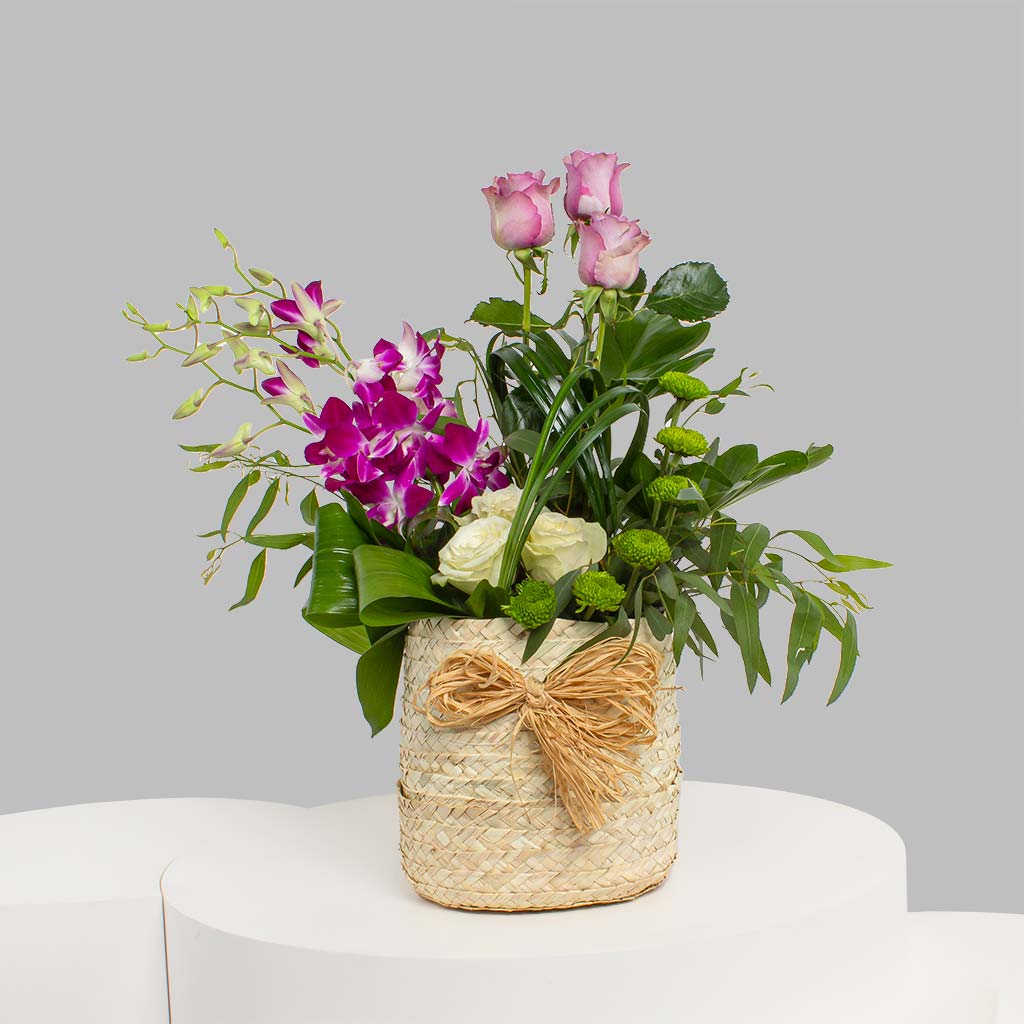 product-image-11638