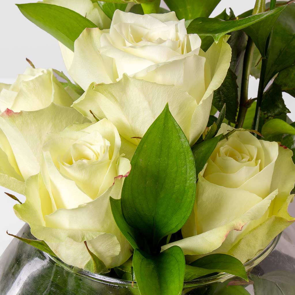 product-image-10990