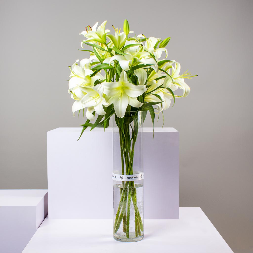 product-image-50