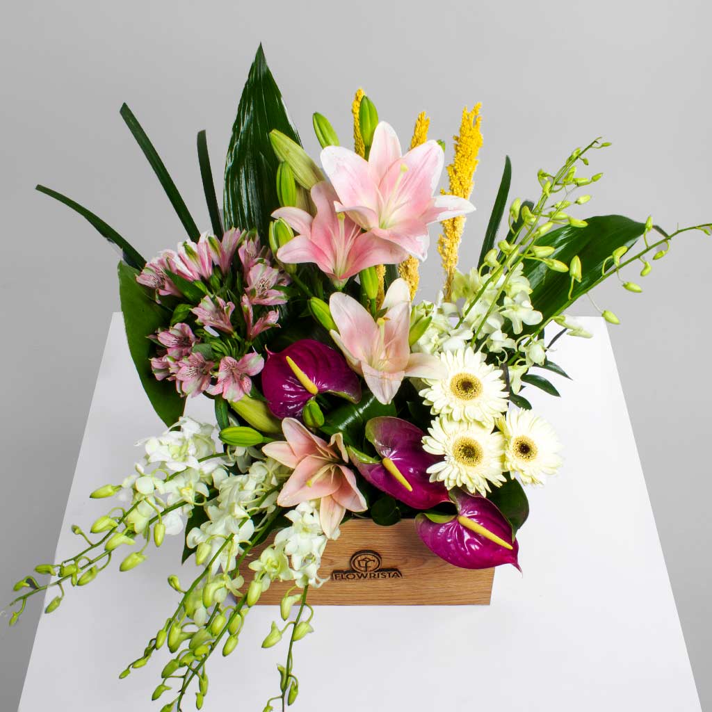 product-image-10663
