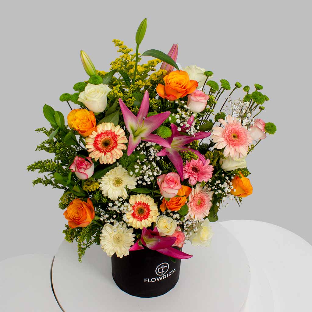 product-image-11844
