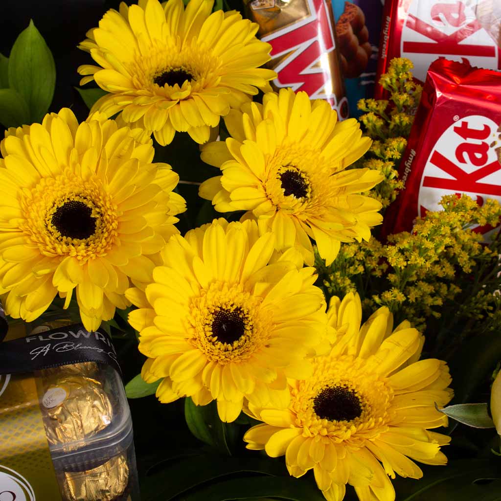 product-image-13660