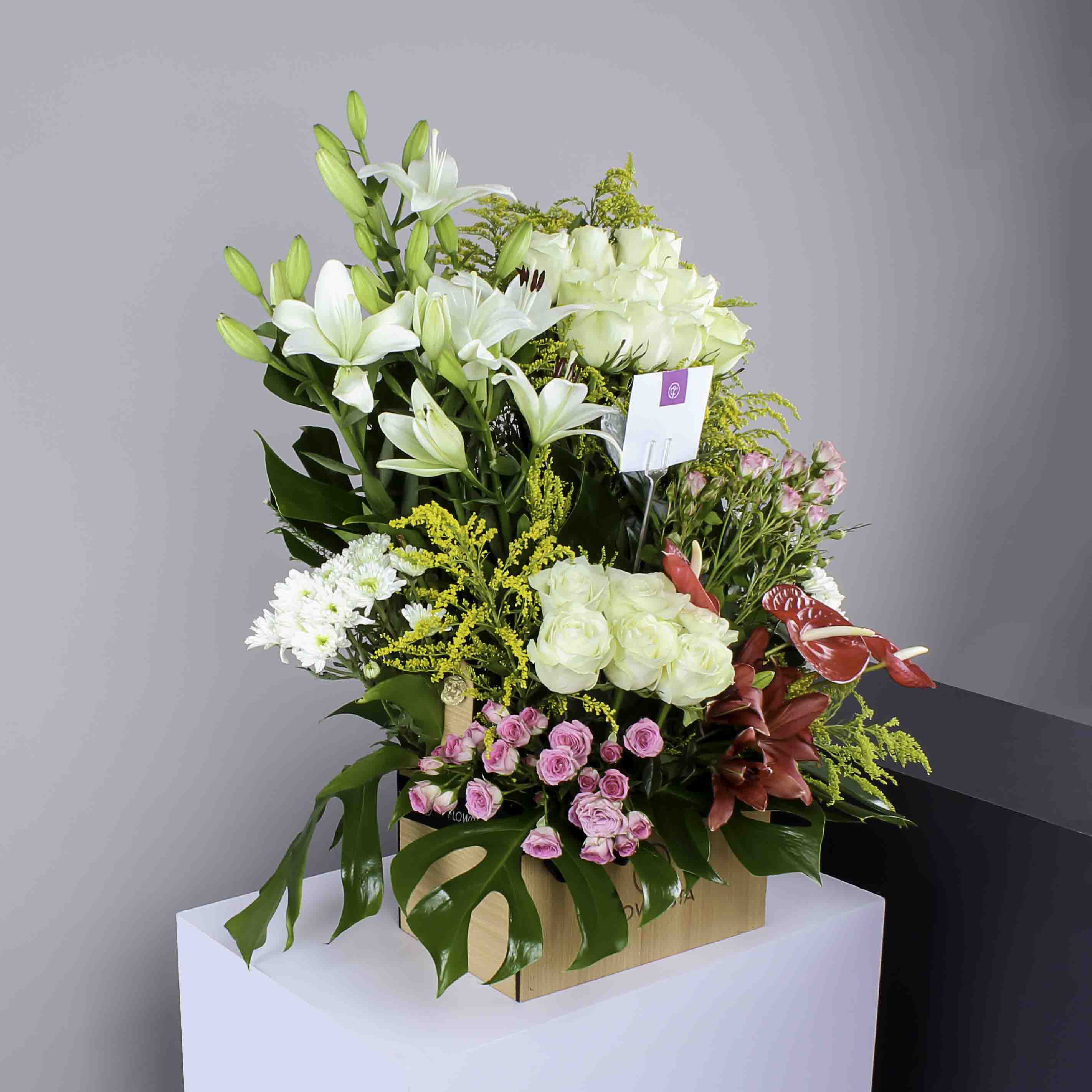 product-image-172