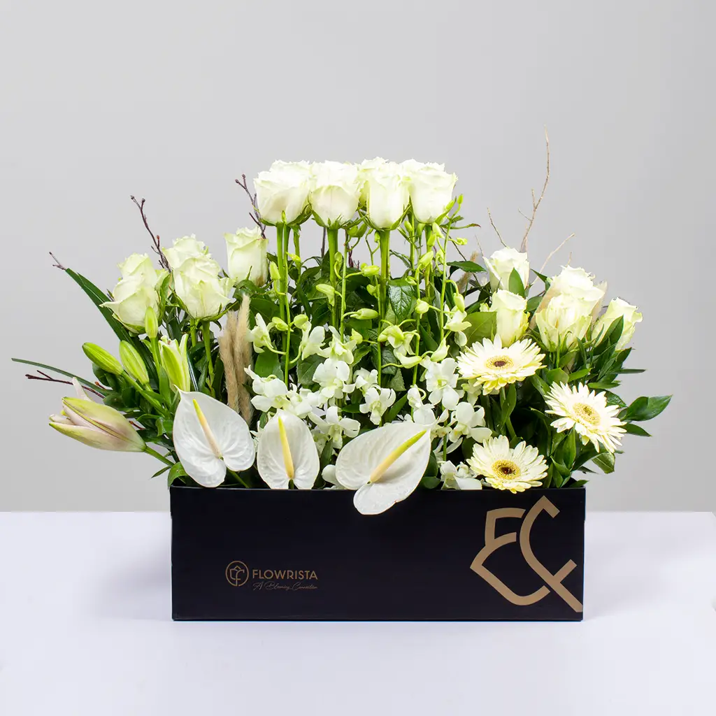 product-image-10660