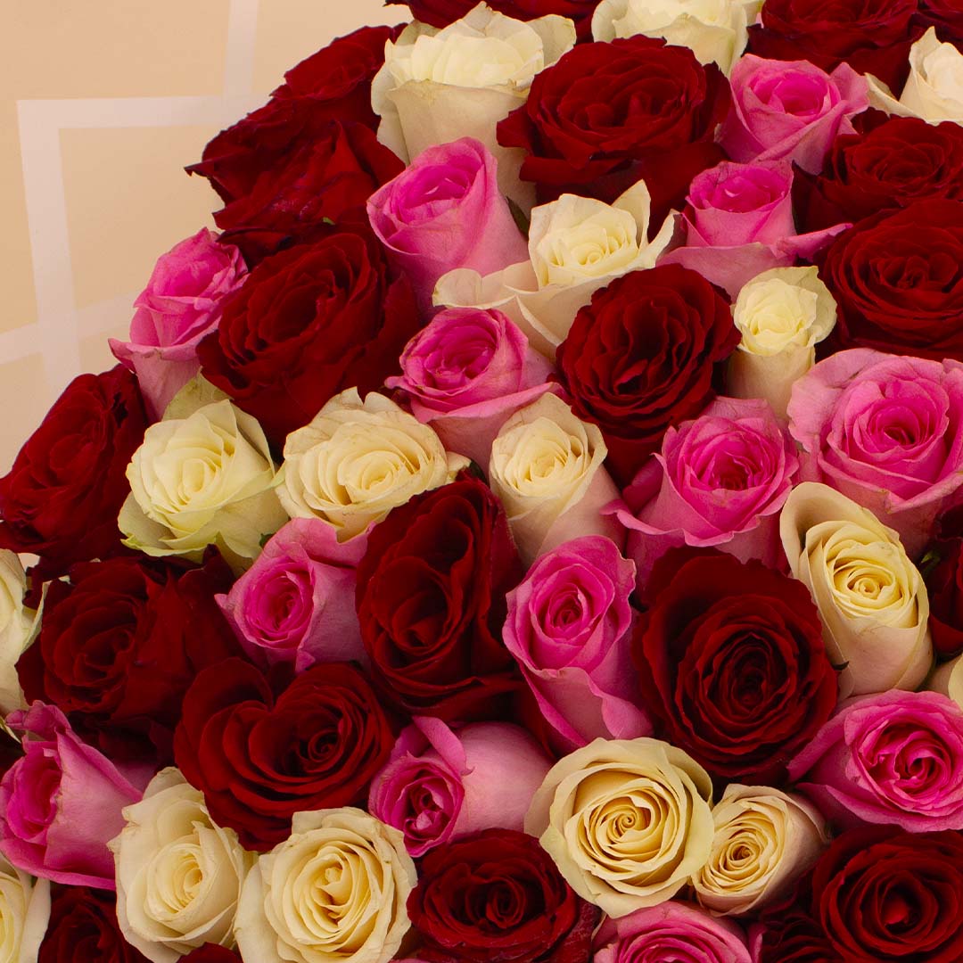 product-image-14152