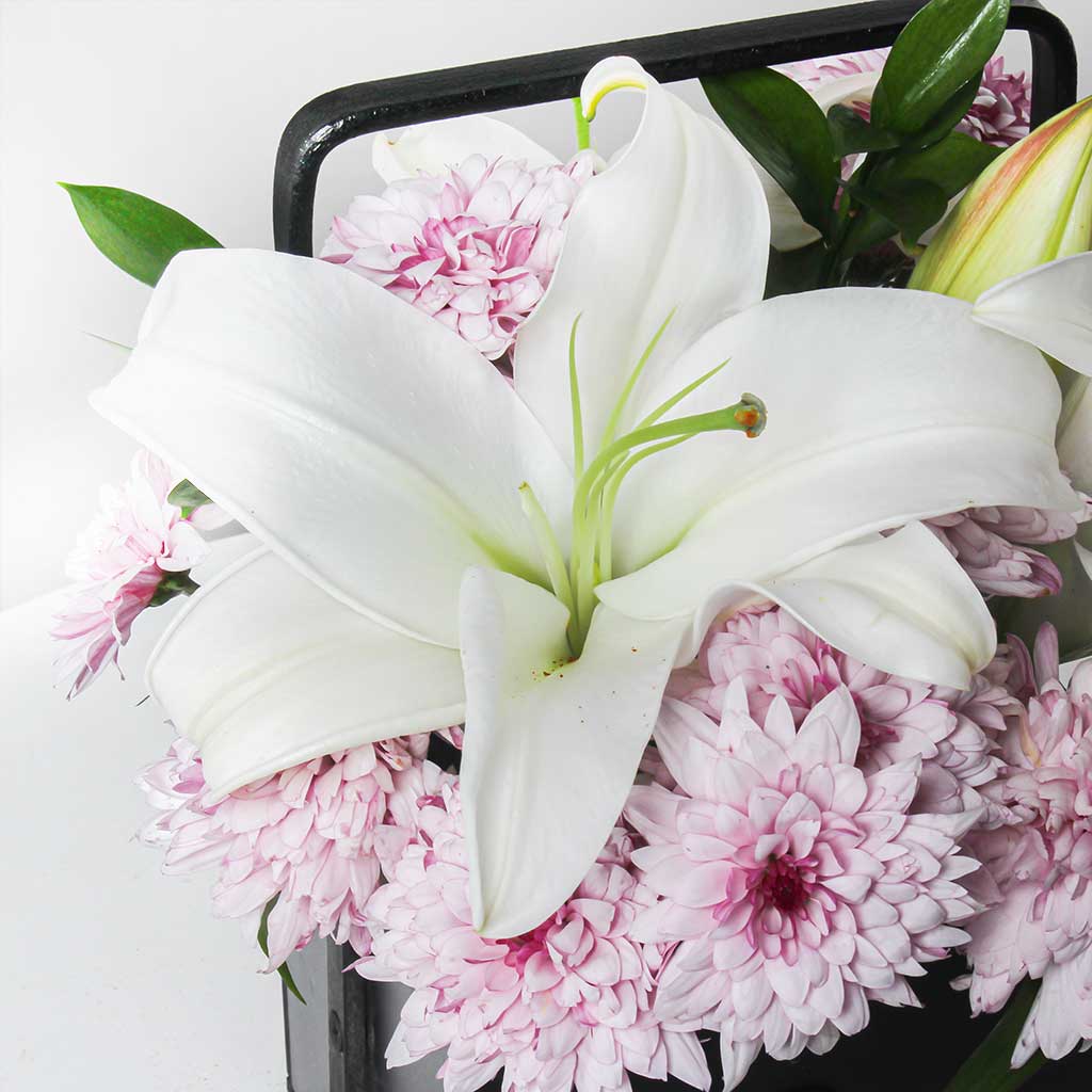 product-image-11327