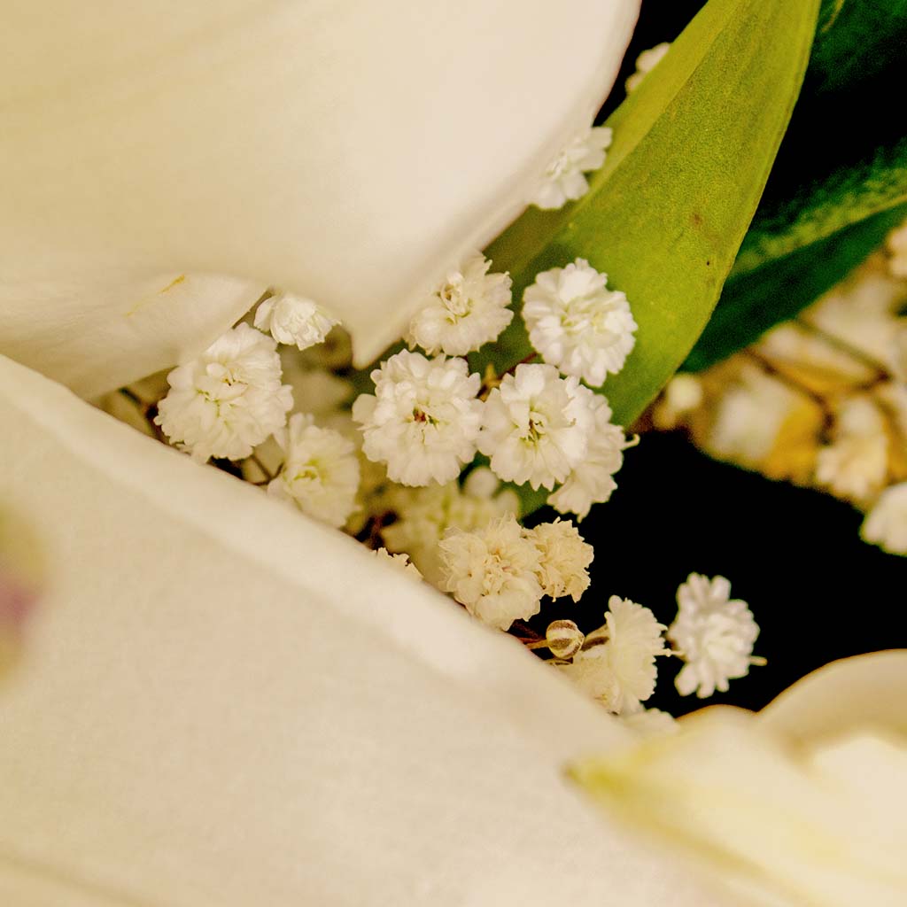 product-image-13628