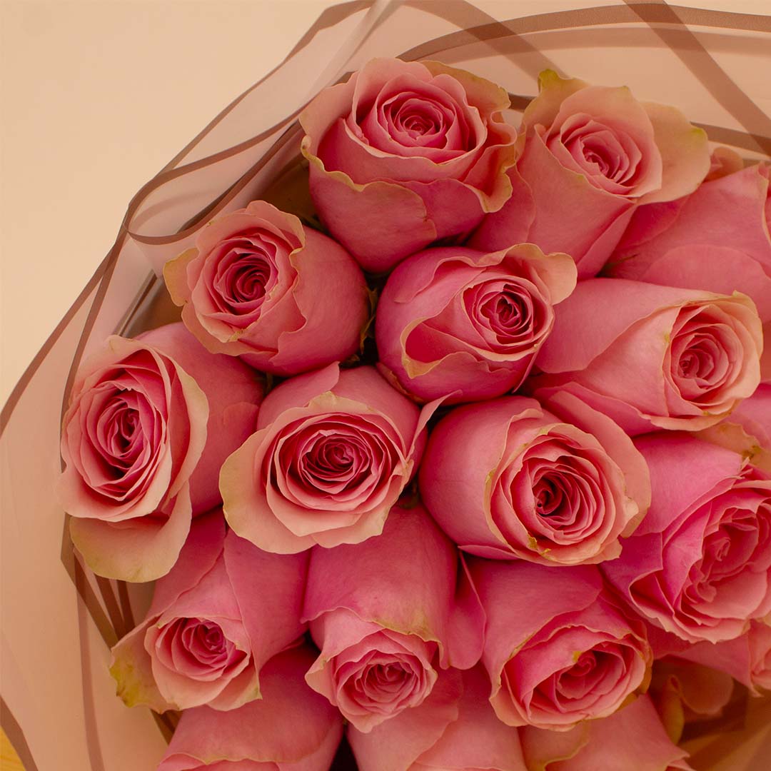 product-image-14144
