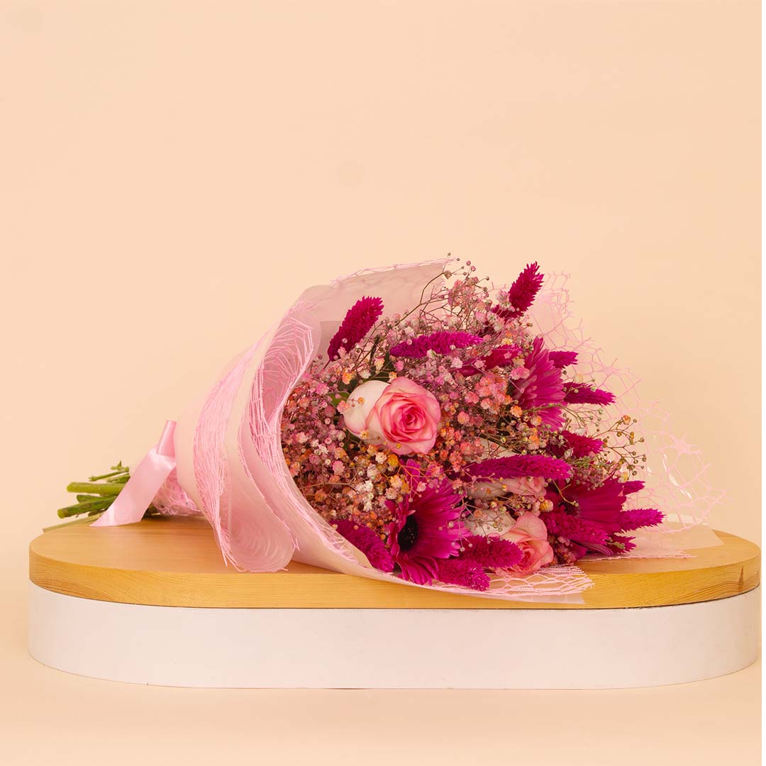 product-image-14146