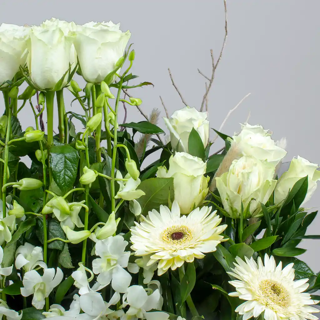 product-image-10660