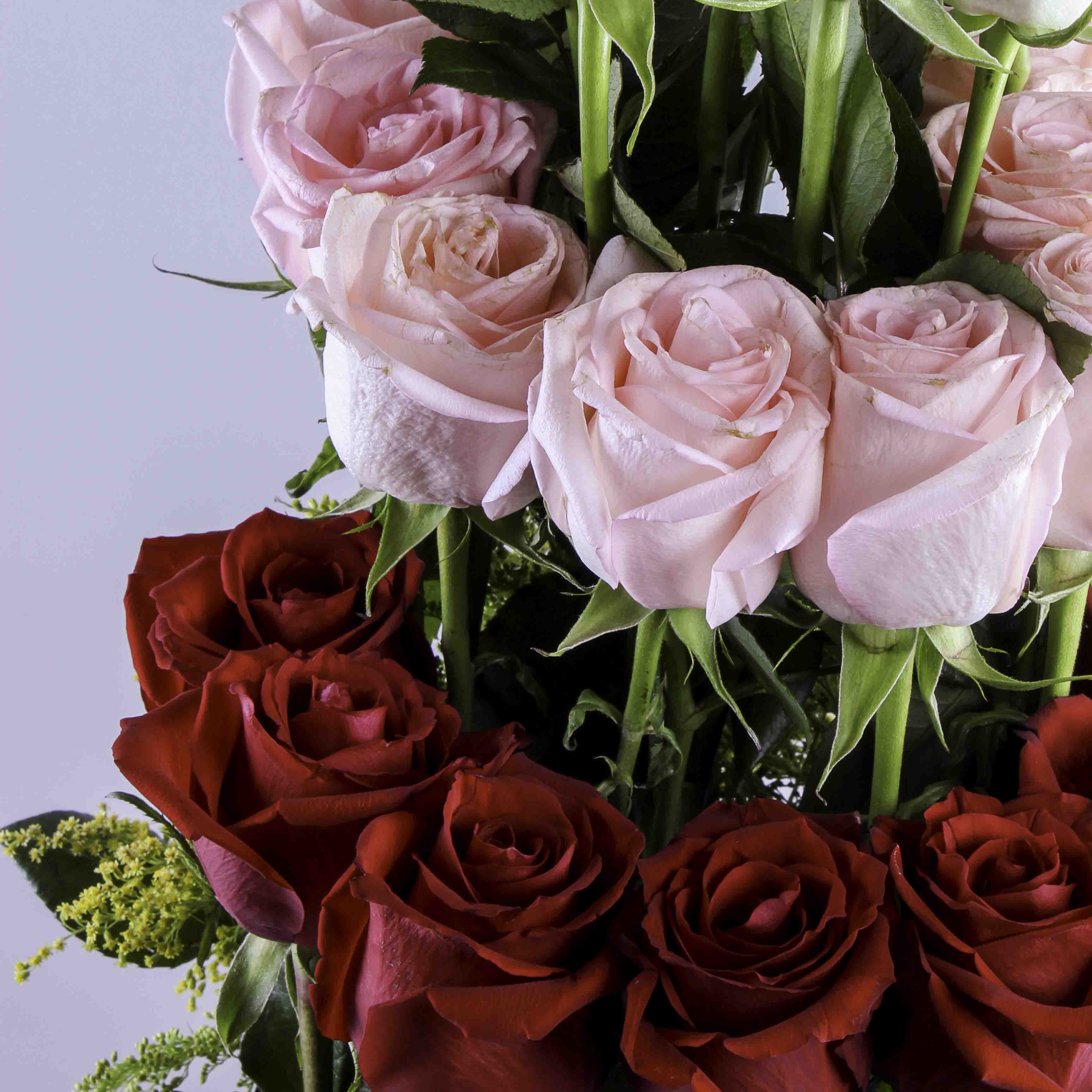 Roman Roses box II