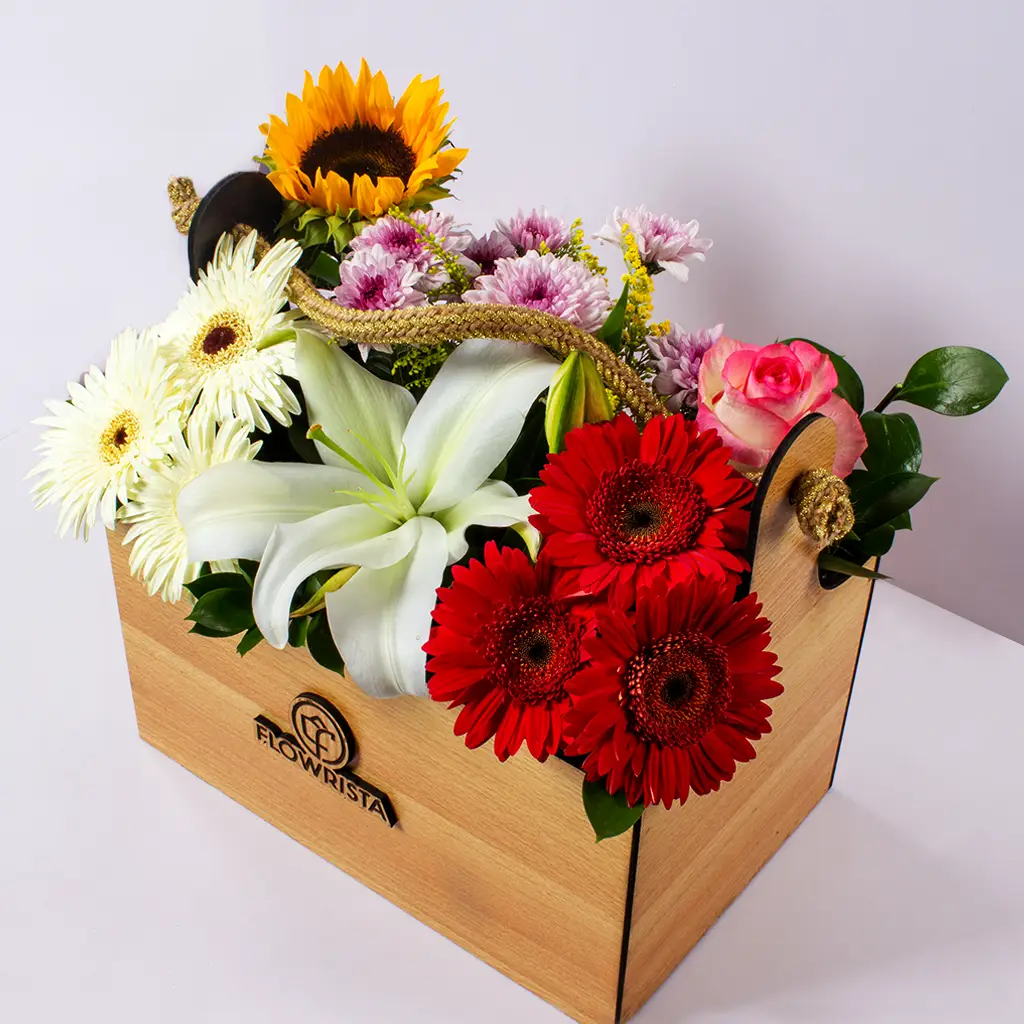 product-image-10553
