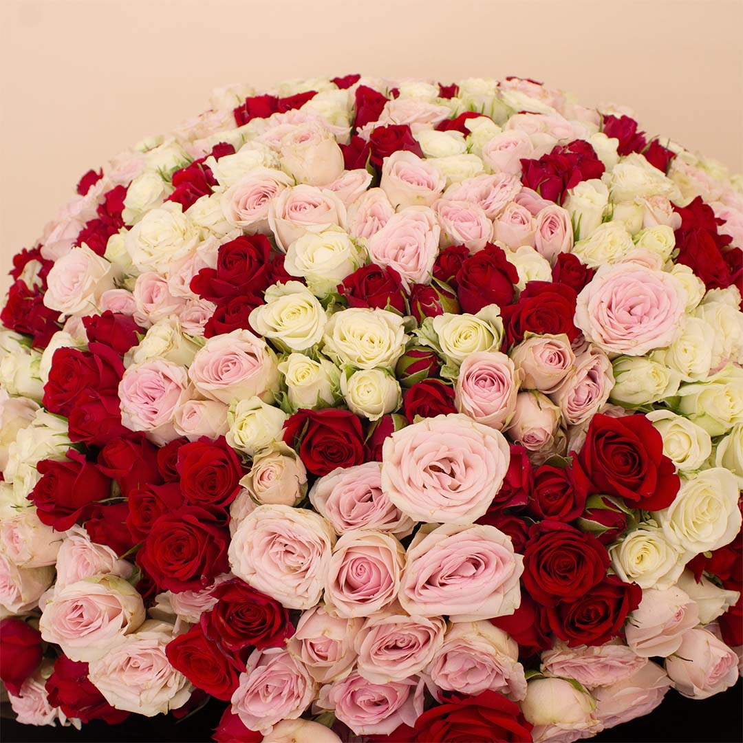 product-image-14117