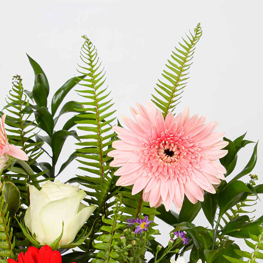 product-image-11376