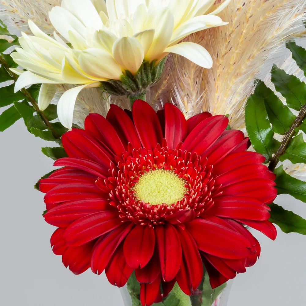 product-image-280