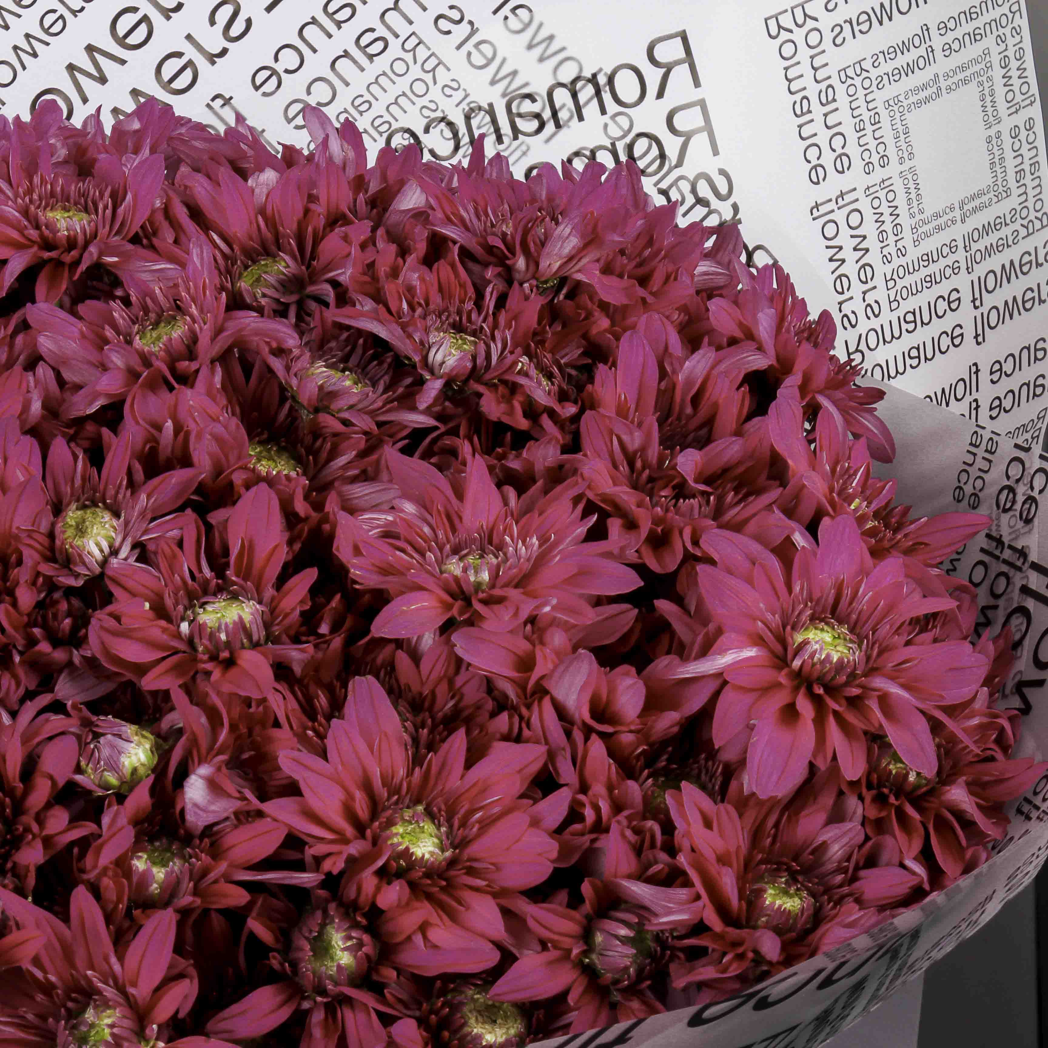 product-image-203