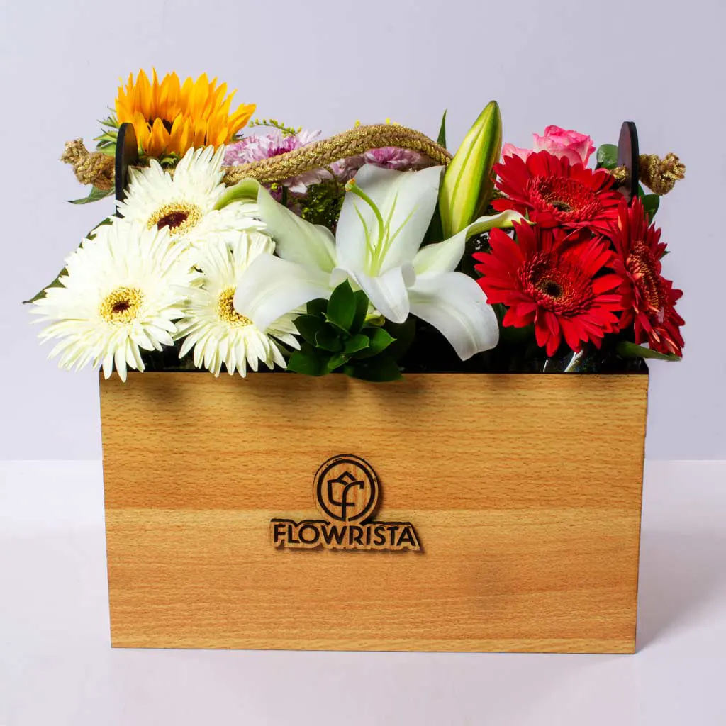 product-image-10553