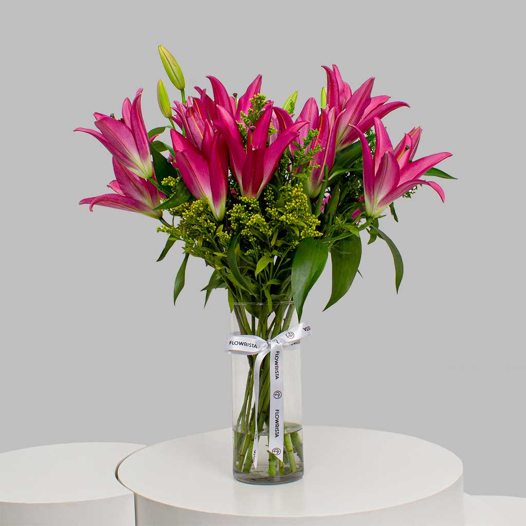 product-image-11845