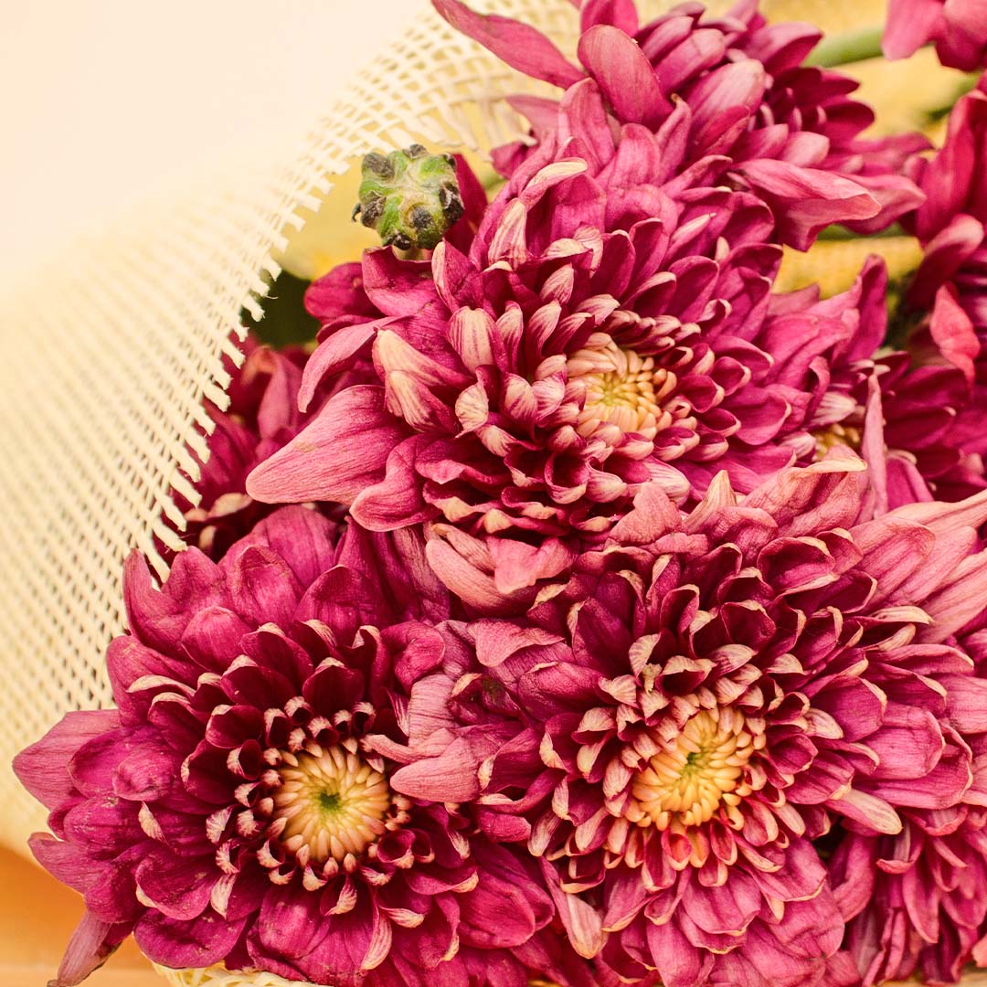 product-image-14125