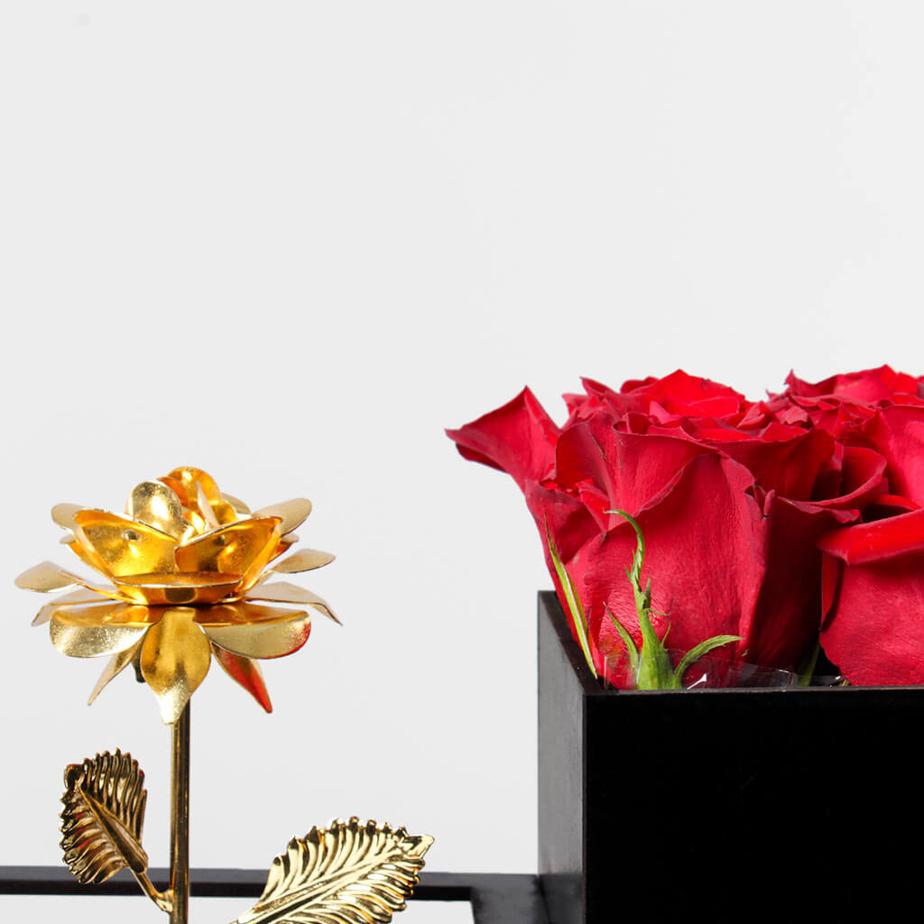 product-image-10936