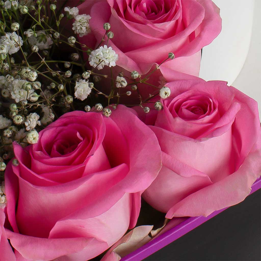 product-image-11511