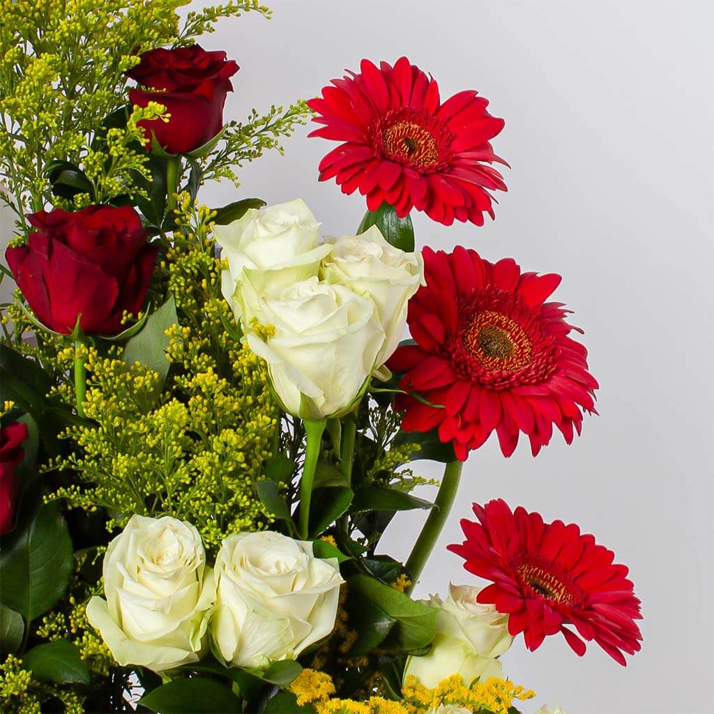 product-image-11303