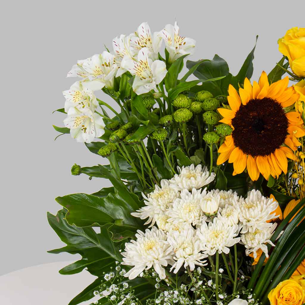 product-image-11608