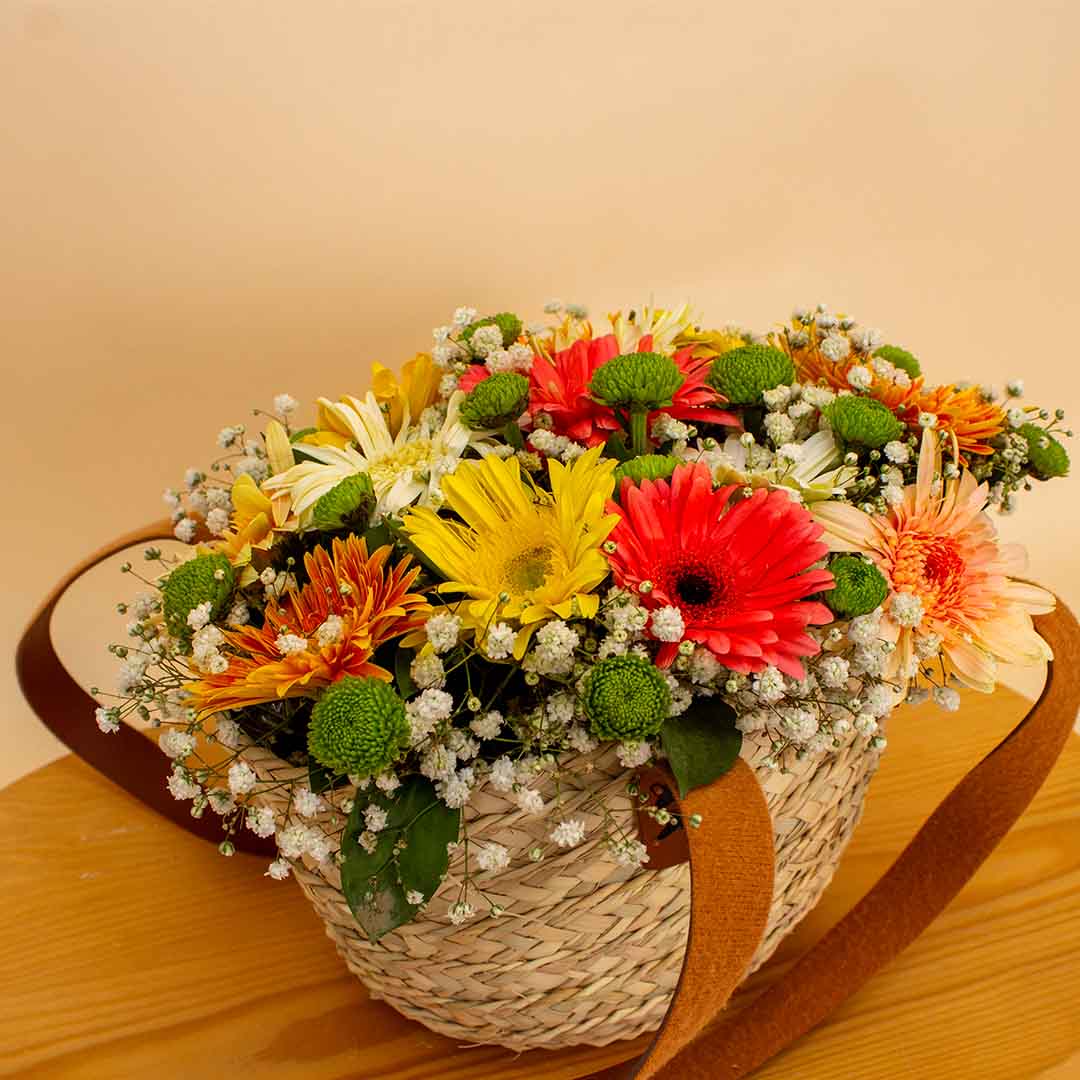 product-image-14094