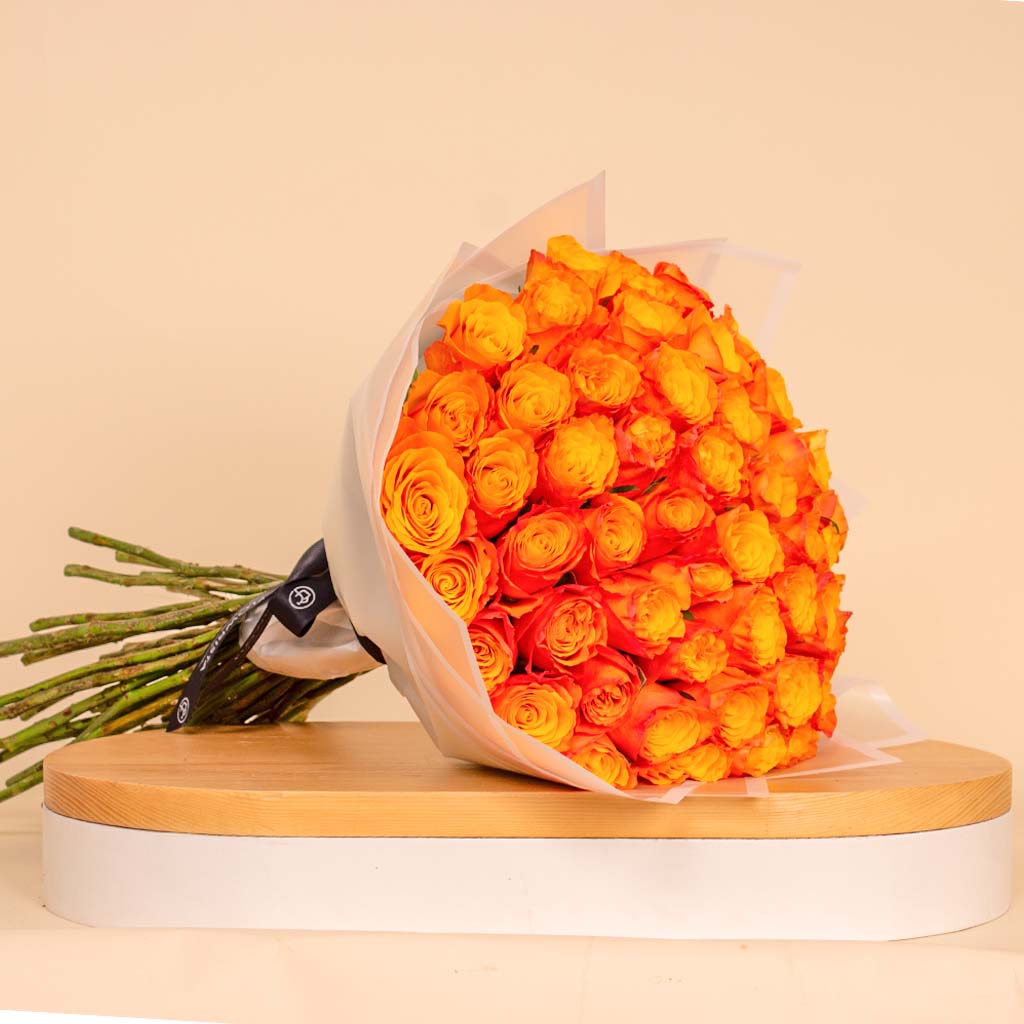 product-image-13812