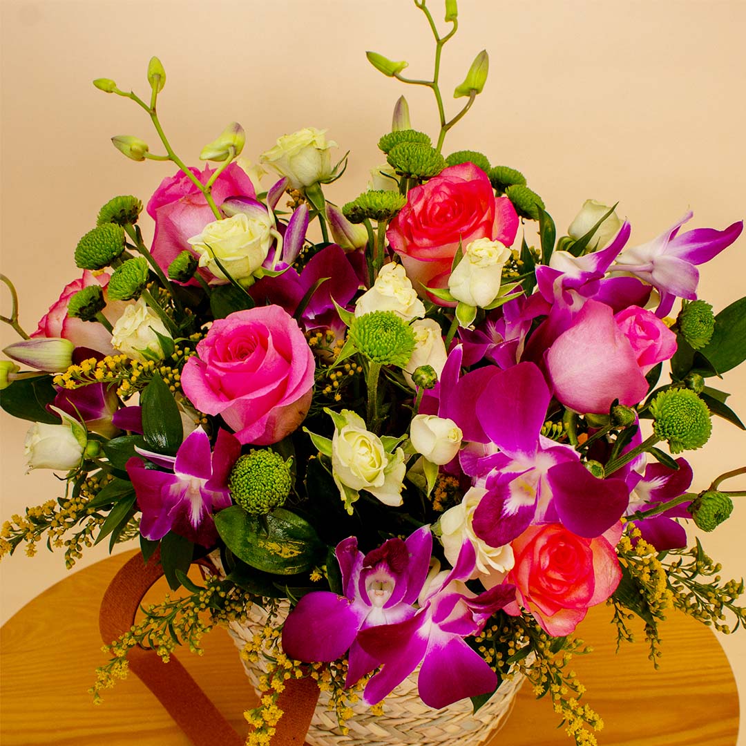 product-image-14095