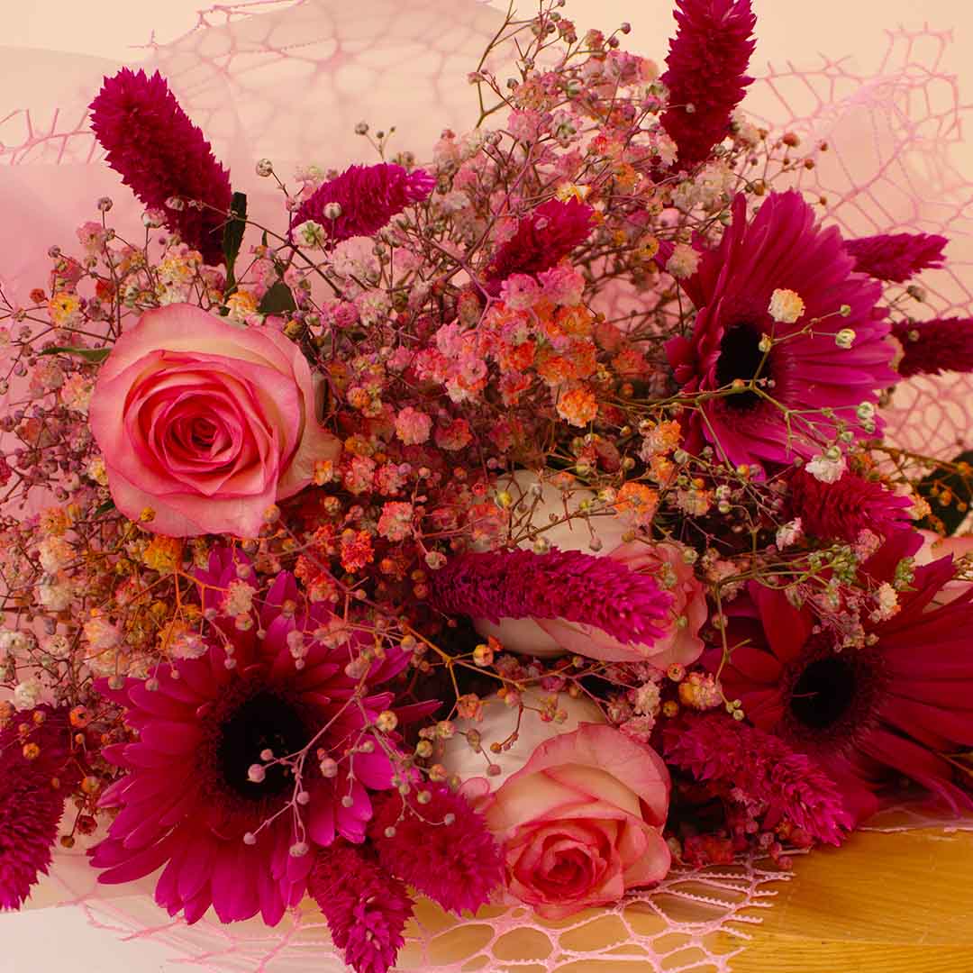 product-image-14146