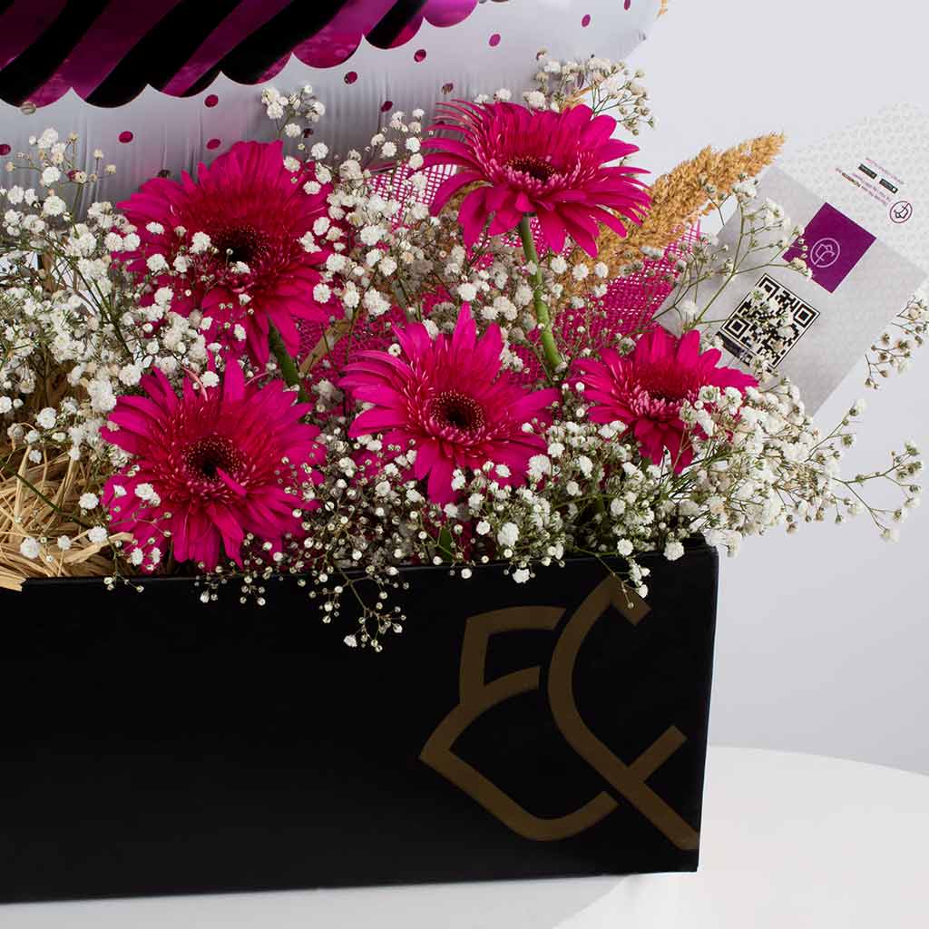 product-image-11298