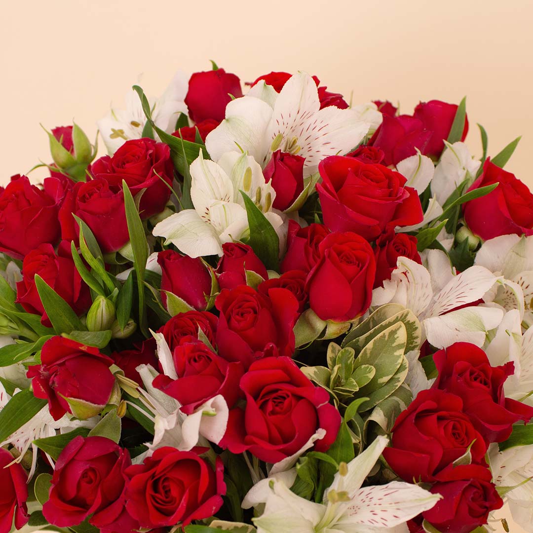 product-image-14119