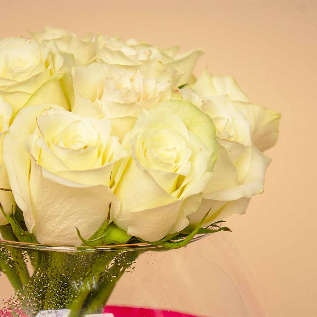 product-image-13360