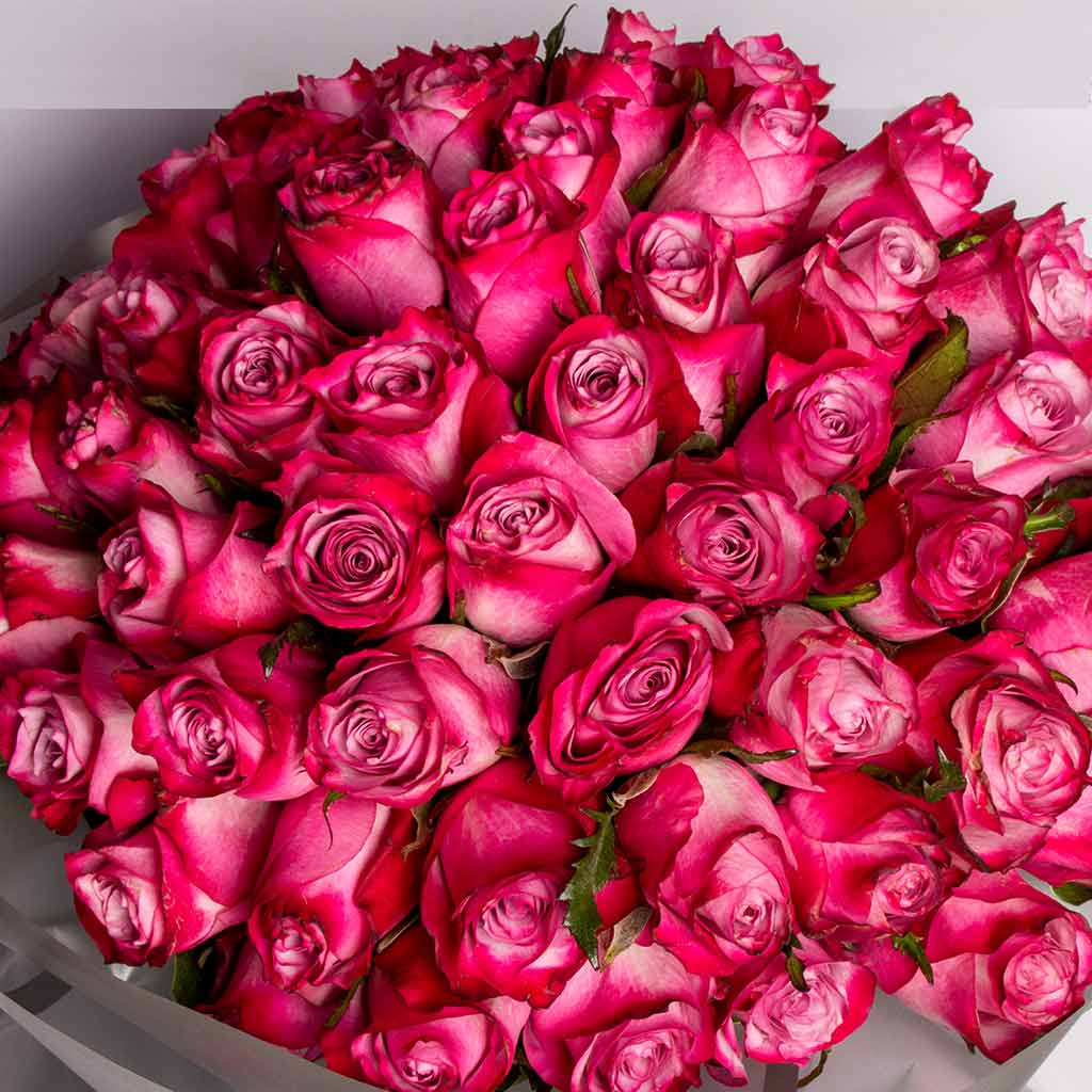 product-image-487
