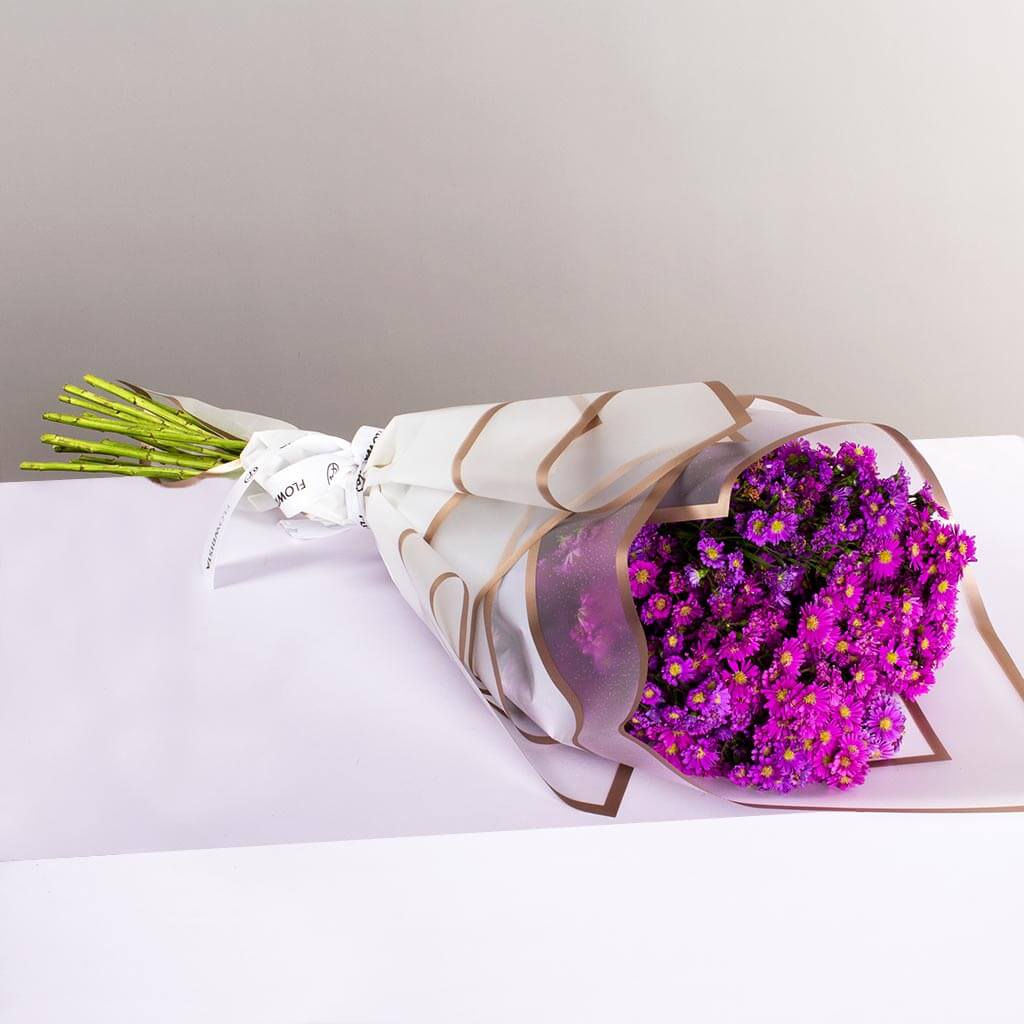 product-image-10501
