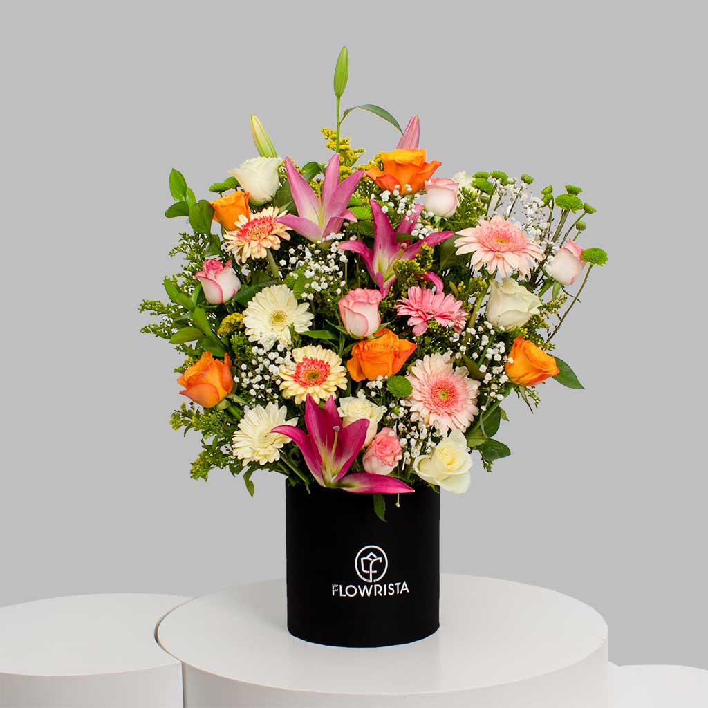 product-image-11844