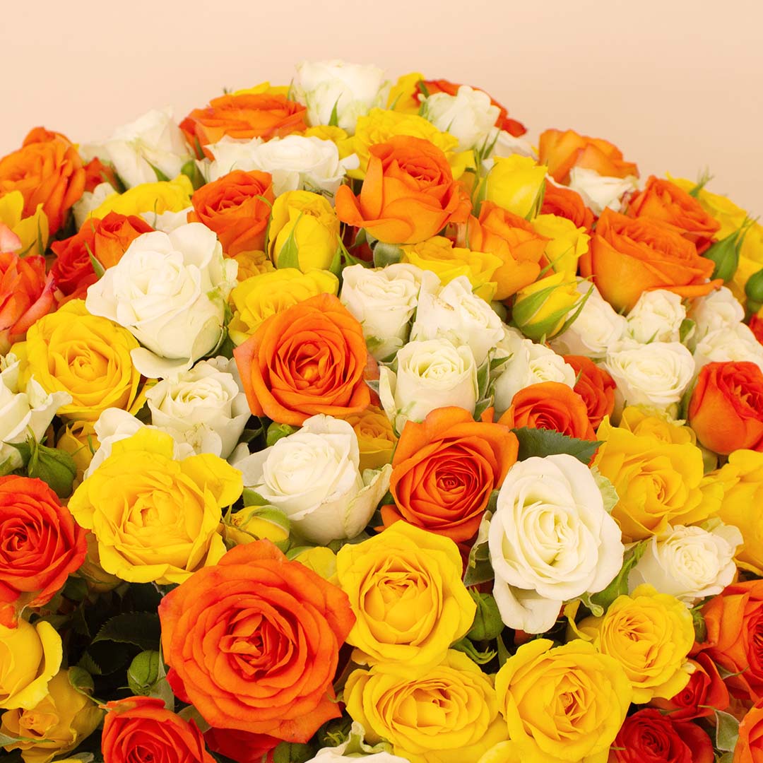 product-image-14131