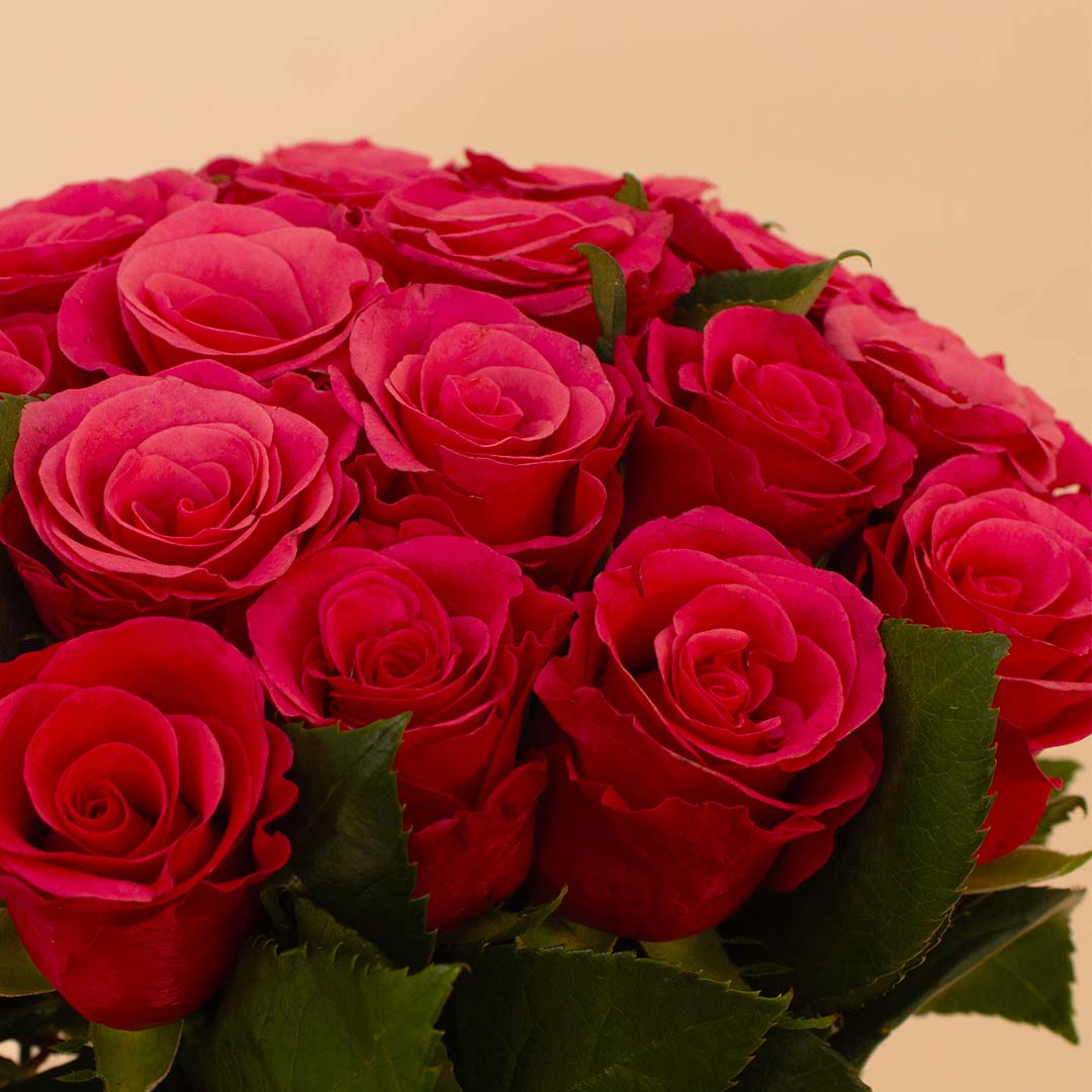 product-image-14151