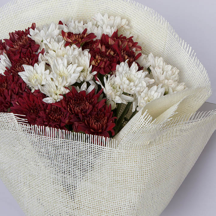 product-image-419
