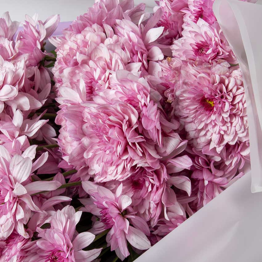 product-image-10844
