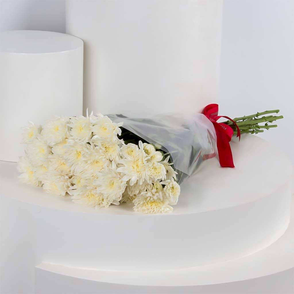 product-image-11435