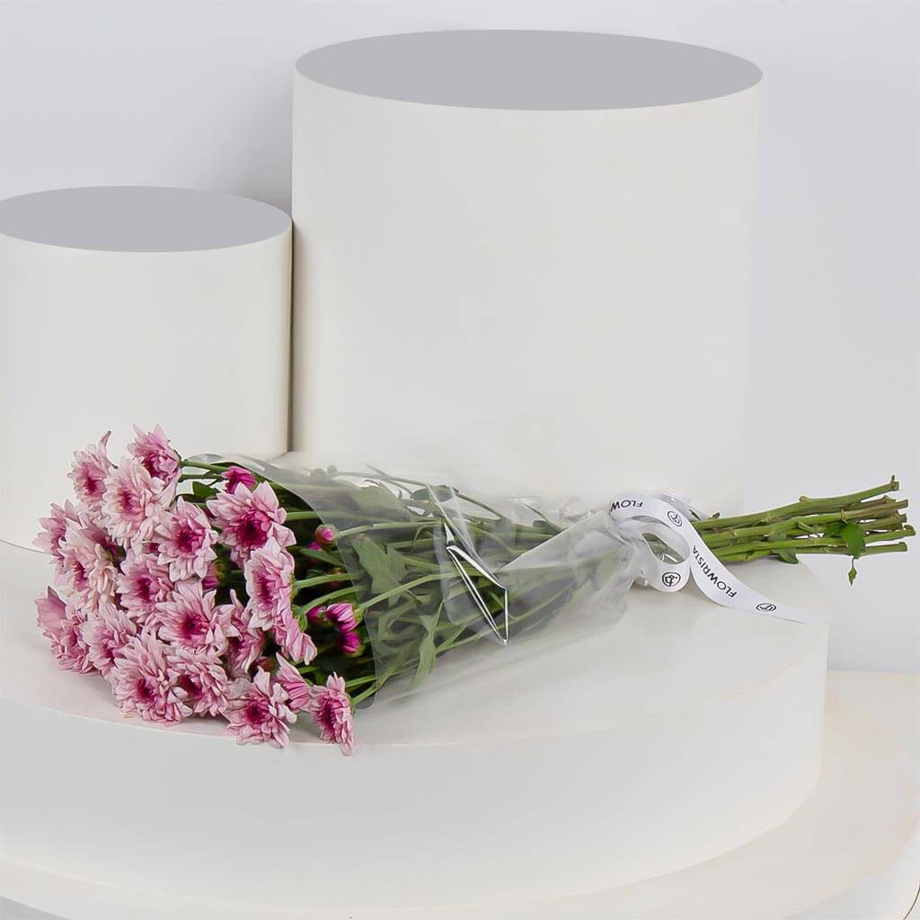 product-image-11436