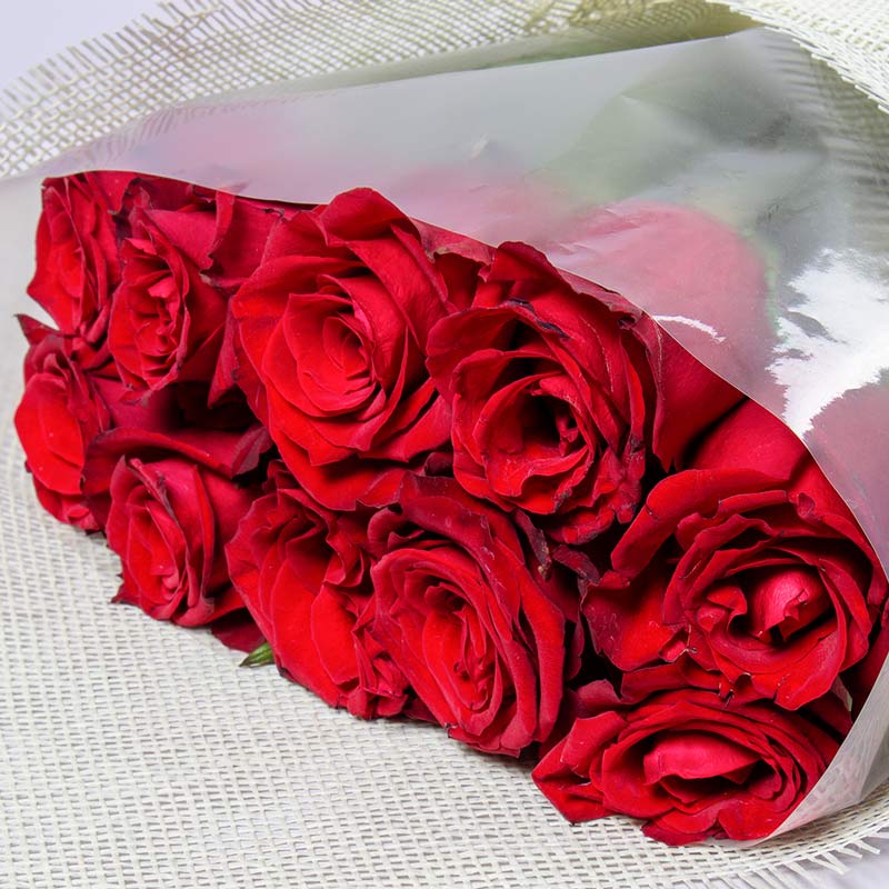product-image-10523