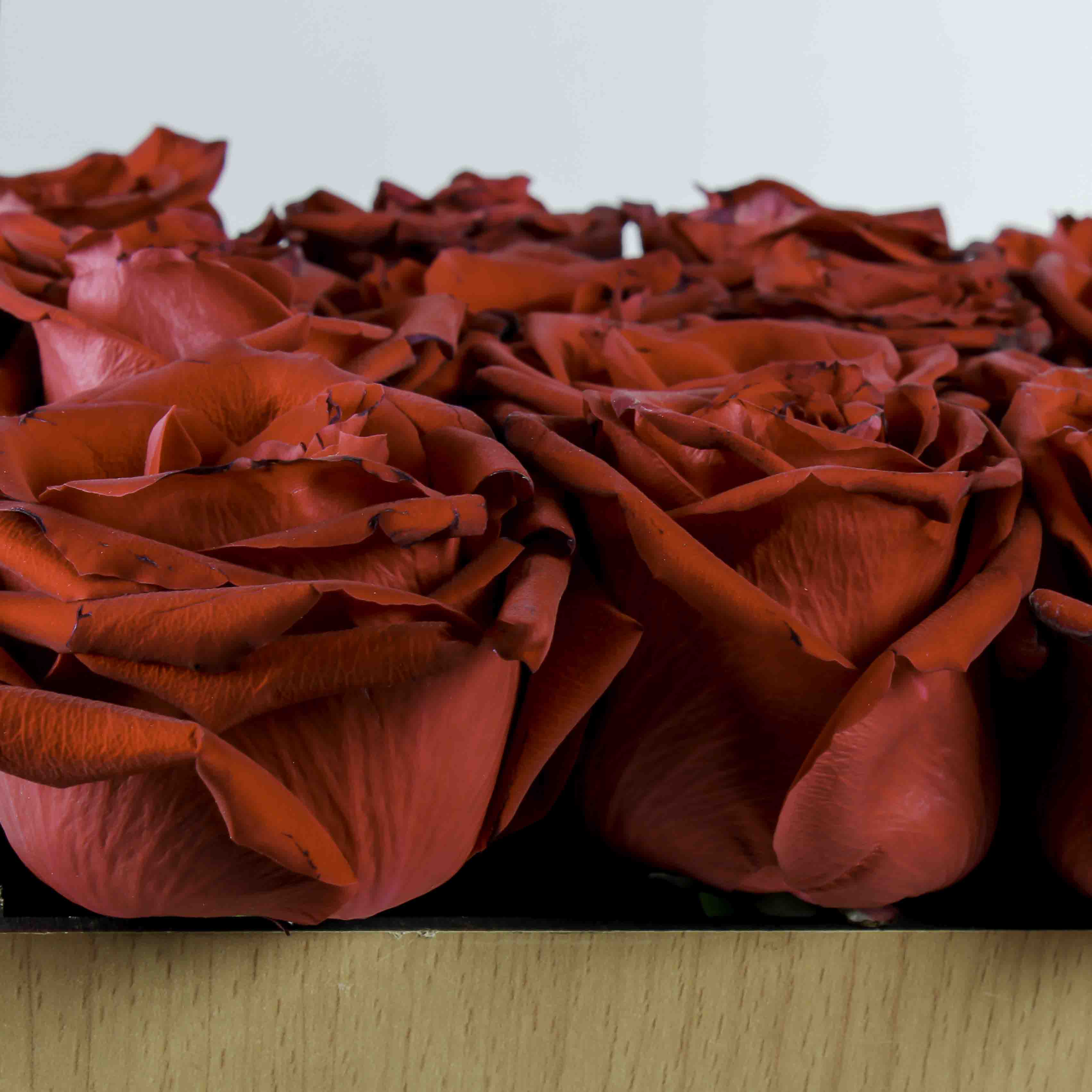 product-image-146