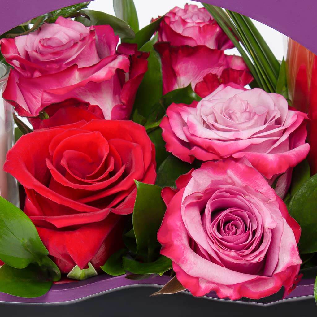 product-image-11295
