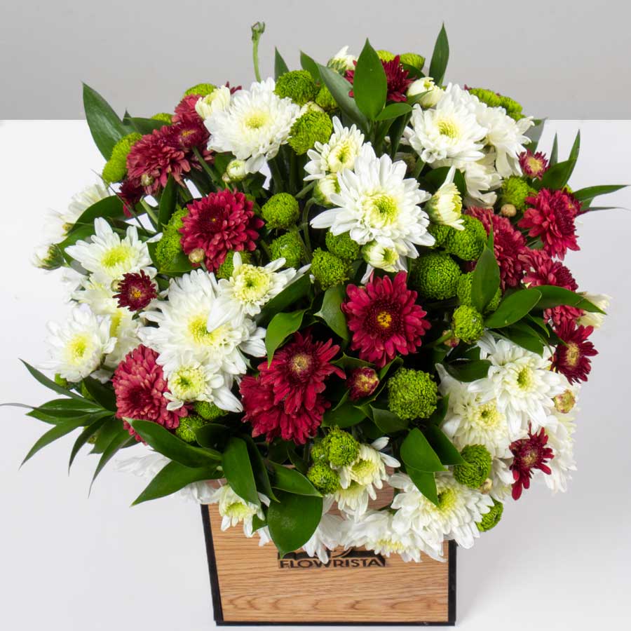 product-image-10613