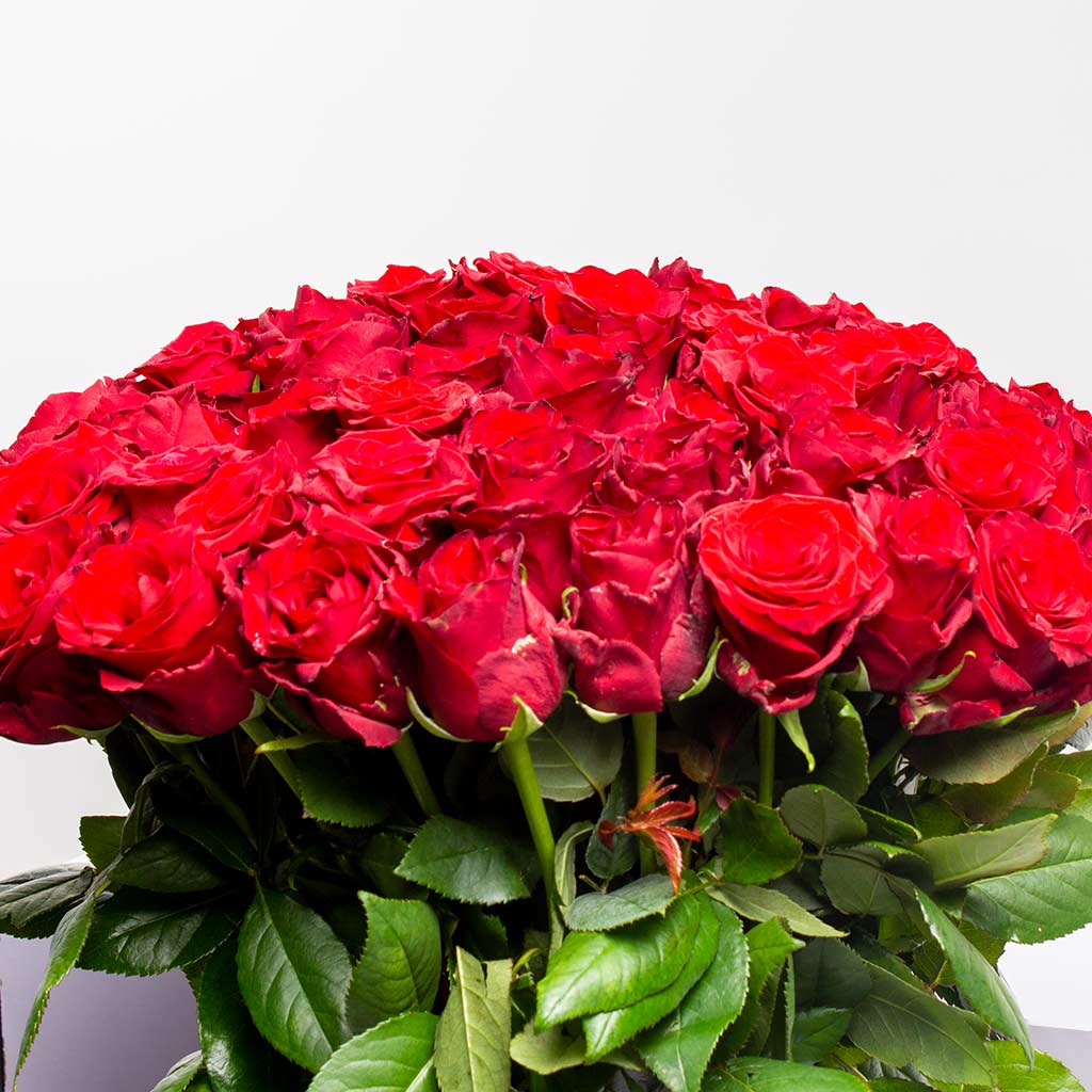 80 Roses Your Best Way to Same Day Flowers Delivery Online Flowrista