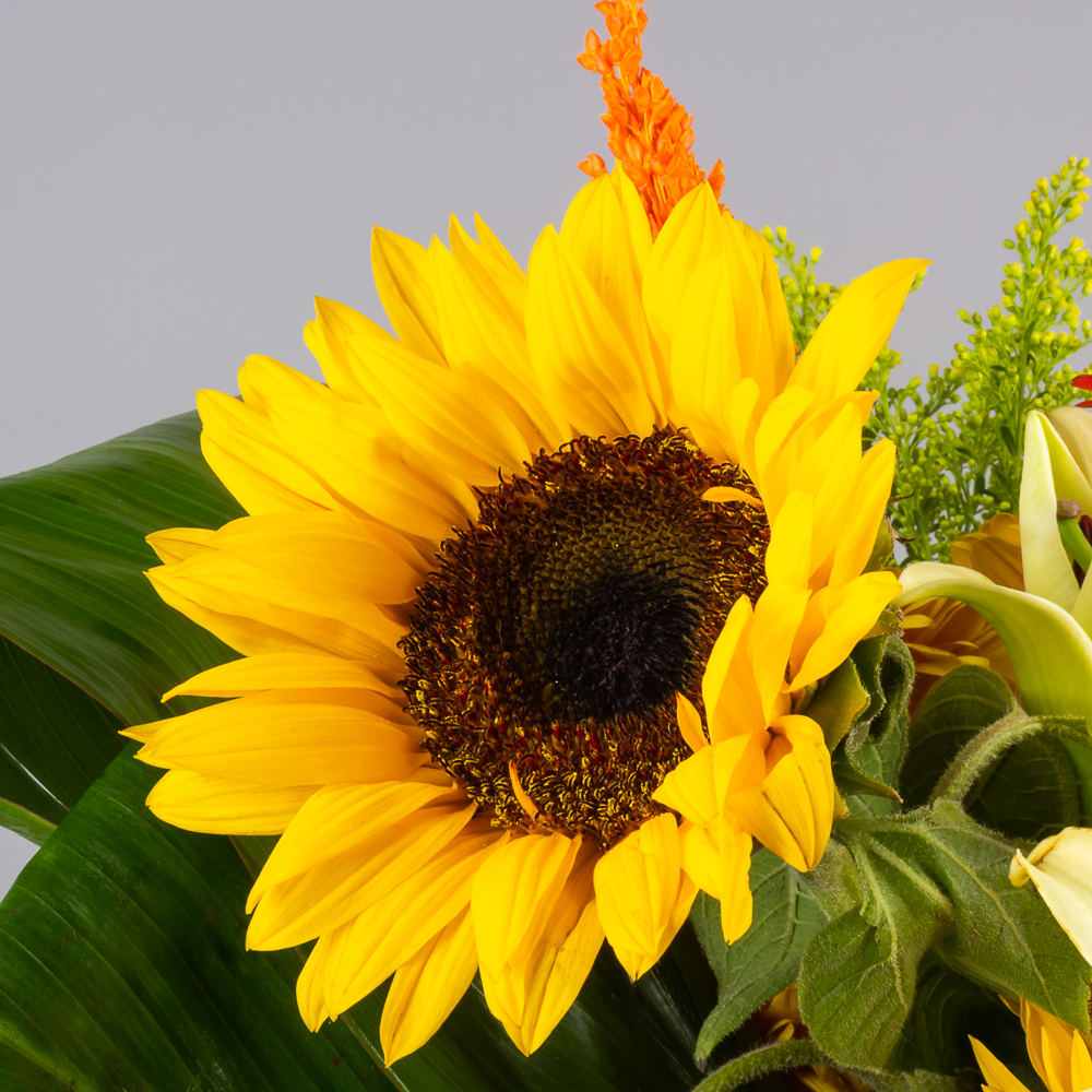 product-image-276