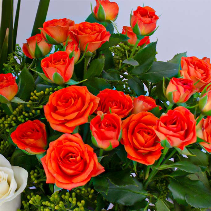 product-image-12032